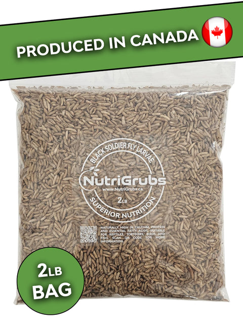 Freeze Dried NutriGrubs 2lb Bag
