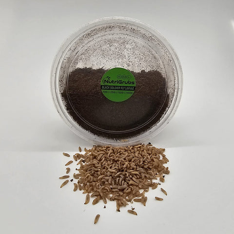 Small NutriGrubs