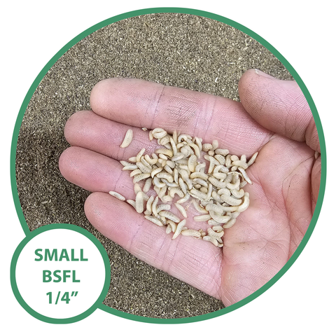 Small NutriGrubs