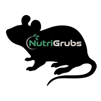 Frozen Hopper Mice (7-12g)